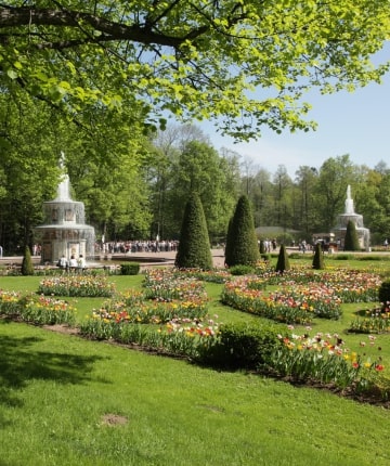 Parks of Kyiv photo Parks of Kyiv