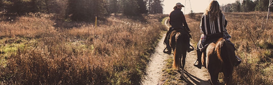 horse trip