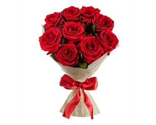 9 roses photo 9 roses