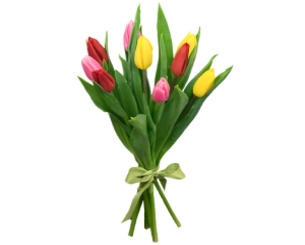 Bouquet of 9 tulips