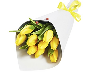 Bouquet of 9 tulips